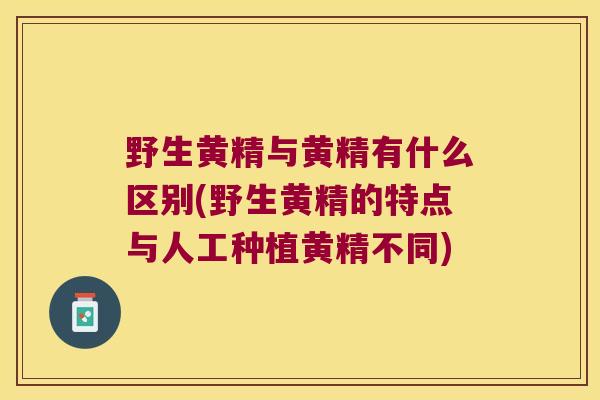野生黄精与黄精有什么区别(野生黄精的特点与人工种植黄精不同)