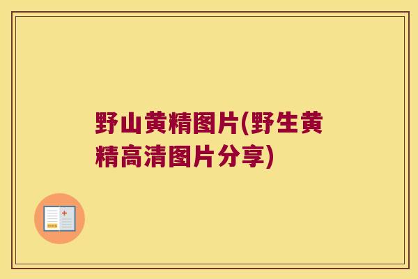野山黄精图片(野生黄精高清图片分享) 野山黄精图片(野生黄精高清图片分享)