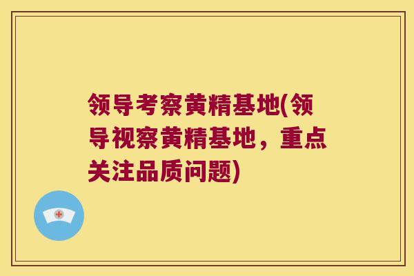 领导考察黄精基地(领导视察黄精基地，重点关注品质问题)