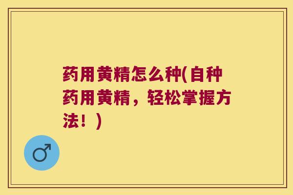 药用黄精怎么种(自种药用黄精，轻松掌握方法！)