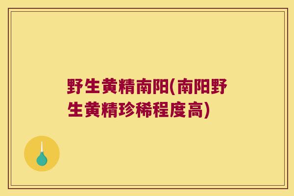 野生黄精南阳(南阳野生黄精珍稀程度高) 野生黄精南阳(南阳野生黄精珍稀程度高)