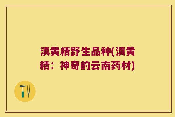 滇黄精野生品种(滇黄精:神奇的云南药材) 滇黄精野生品种(滇黄精:神奇的云南药材)