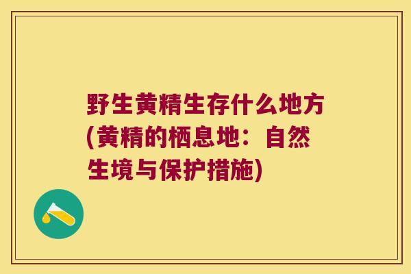 野生黄精生存什么地方(黄精的栖息地:自然生境与保护措施) 野生黄精生存什么地方(黄精的栖息地:自然生境与保护措施)