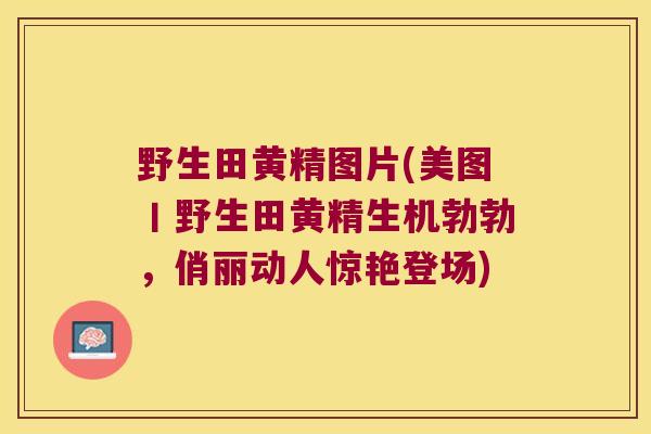 野生田黄精图片(美图丨野生田黄精生机勃勃,俏丽动人惊艳登场) 野生田黄精图片(美图丨野生田黄精生机勃勃,俏丽动人惊艳登场)