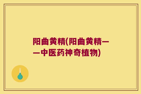 阳曲黄精(阳曲黄精——中医药神奇植物) 阳曲黄精(阳曲黄精——中医药神奇植物)