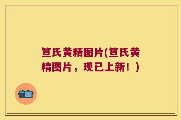 笪氏黄精图片(笪氏黄精图片,现已上新!) 笪氏黄精图片(笪氏黄精图片,现已上新!)
