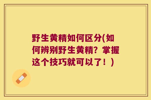 野生黄精如何区分(如何辨别野生黄精？掌握这个技巧就可以了！)