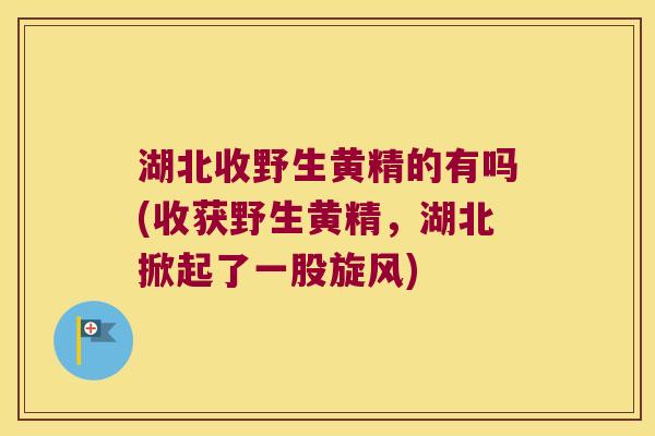 湖北收野生黄精的有吗(收获野生黄精,湖北掀起了一股旋风) 湖北收野生黄精的有吗(收获野生黄精,湖北掀起了一股旋风)