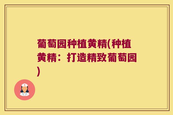 葡萄园种植黄精(种植黄精:打造精致葡萄园) 葡萄园种植黄精(种植黄精:打造精致葡萄园)