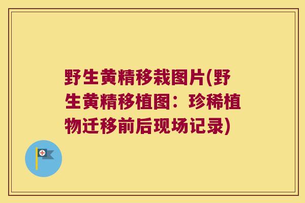 野生黄精移栽图片(野生黄精移植图：珍稀植物迁移前后现场记录)