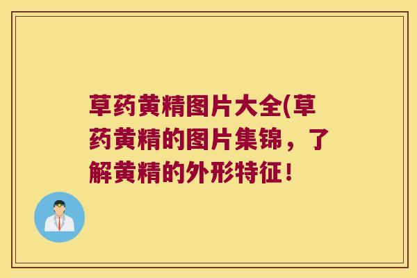 草药黄精图片大全(草药黄精的图片集锦，了解黄精的外形特征！