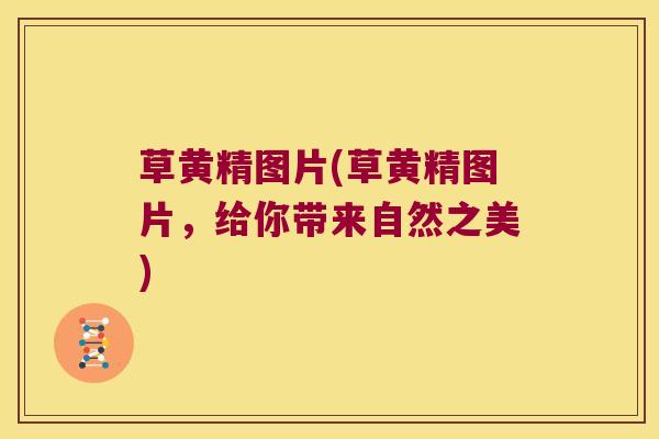 草黄精图片(草黄精图片，给你带来自然之美)