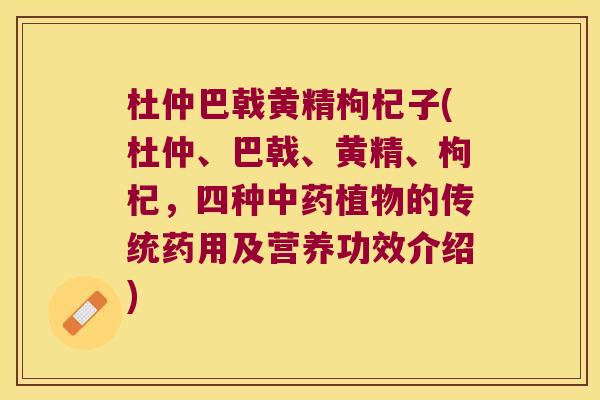 杜仲巴戟黄精枸杞子(杜仲、巴戟、黄精、枸杞，四种植物的传统药用及营养功效介绍)