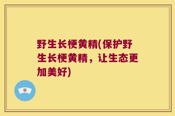 野生长梗黄精(保护野生长梗黄精，让生态更加美好)
