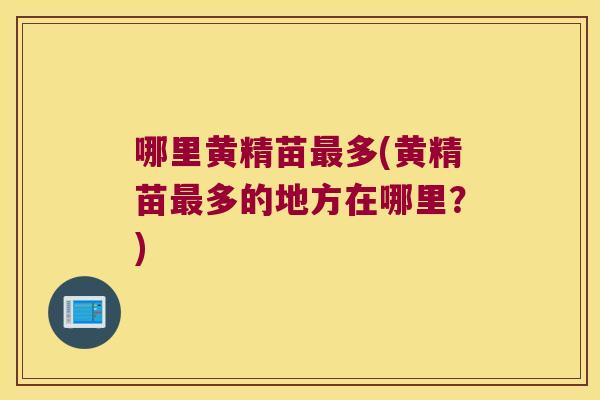 哪里黄精苗多(黄精苗多的地方在哪里？)