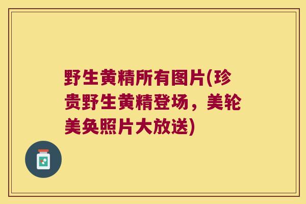 野生黄精所有图片(珍贵野生黄精登场，美轮美奂照片大放送)