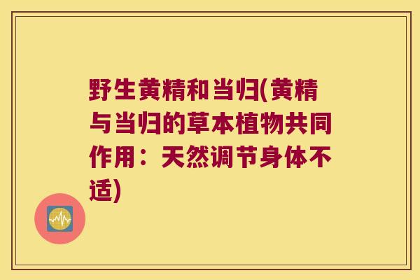 野生黄精和当归(黄精与当归的草本植物共同作用:天然调节身体不适) 野生黄精和当归(黄精与当归的草本植物共同作用:天然调节身体不适)