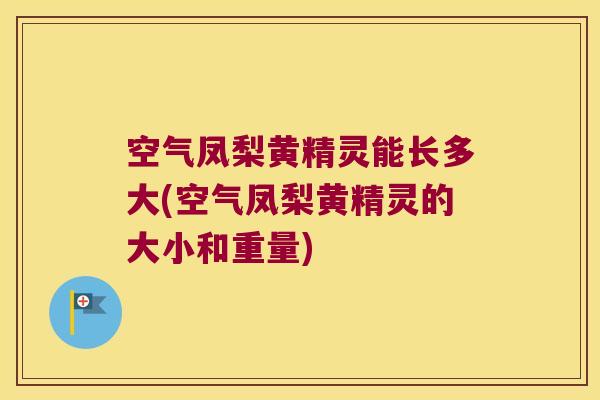 空气凤梨黄精灵能长多大(空气凤梨黄精灵的大小和重量) 空气凤梨黄精灵能长多大(空气凤梨黄精灵的大小和重量)