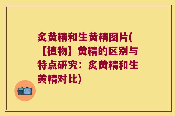 炙黄精和生黄精图片(【植物】黄精的区别与特点研究:炙黄精和生黄精对比) 炙黄精和生黄精图片(【植物】黄精的区别与特点研究:炙黄精和生黄精对比)