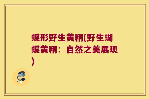 蝶形野生黄精(野生蝴蝶黄精:自然之美展现) 蝶形野生黄精(野生蝴蝶黄精:自然之美展现)