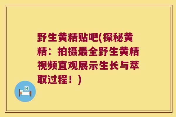 野生黄精贴吧(探秘黄精：拍摄全野生黄精视频直观展示生长与萃取过程！)