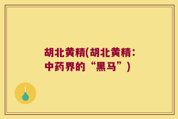 胡北黄精(胡北黄精:界的“黑马”) 胡北黄精(胡北黄精:界的“黑马”)