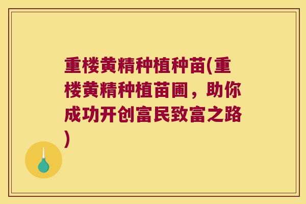 重楼黄精种植种苗(重楼黄精种植苗圃,助你成功开创富民致富之路) 重楼黄精种植种苗(重楼黄精种植苗圃,助你成功开创富民致富之路)