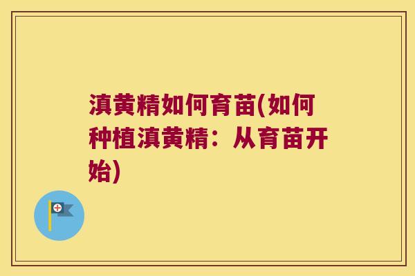 滇黄精如何育苗(如何种植滇黄精:从育苗开始) 滇黄精如何育苗(如何种植滇黄精:从育苗开始)