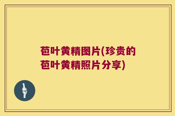 苞叶黄精图片(珍贵的苞叶黄精照片分享) 苞叶黄精图片(珍贵的苞叶黄精照片分享)