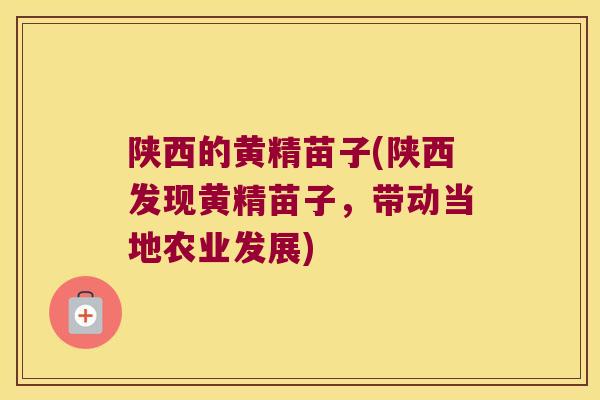 陕西的黄精苗子(陕西发现黄精苗子,带动当地农业发展) 陕西的黄精苗子(陕西发现黄精苗子,带动当地农业发展)