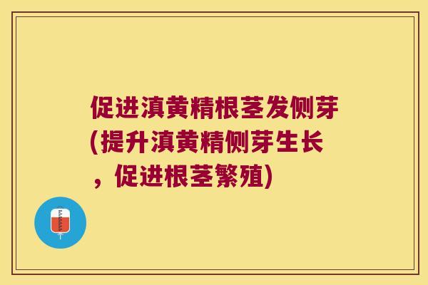 促进滇黄精根茎发侧芽(提升滇黄精侧芽生长，促进根茎繁殖)