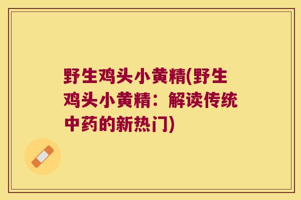 野生鸡头小黄精(野生鸡头小黄精:解读传统的新热门) 野生鸡头小黄精(野生鸡头小黄精:解读传统的新热门)