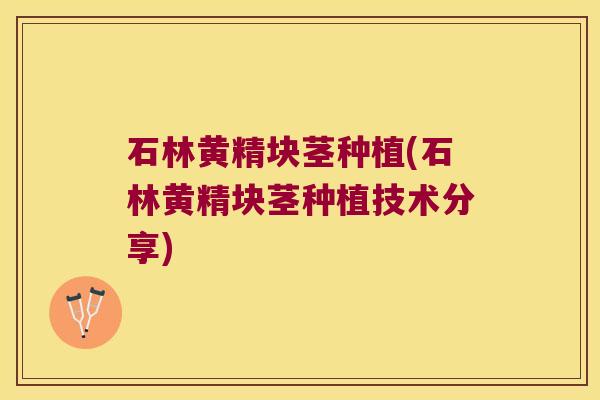 石林黄精块茎种植(石林黄精块茎种植技术分享)