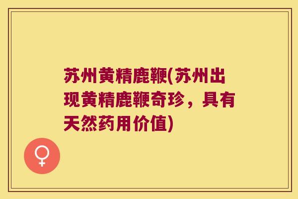 苏州黄精鹿鞭(苏州出现黄精鹿鞭奇珍,具有天然药用价值) 苏州黄精鹿鞭(苏州出现黄精鹿鞭奇珍,具有天然药用价值)