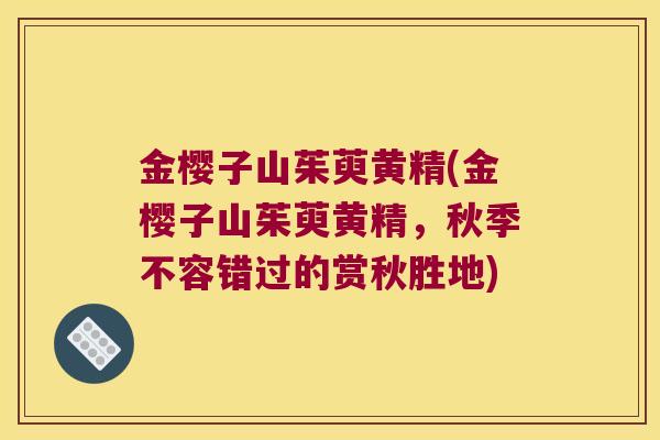 金樱子山茱萸黄精(金樱子山茱萸黄精,秋季不容错过的赏秋胜地) 金樱子山茱萸黄精(金樱子山茱萸黄精,秋季不容错过的赏秋胜地)