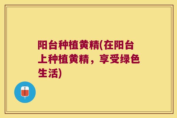 阳台种植黄精(在阳台上种植黄精,享受绿色生活) 阳台种植黄精(在阳台上种植黄精,享受绿色生活)