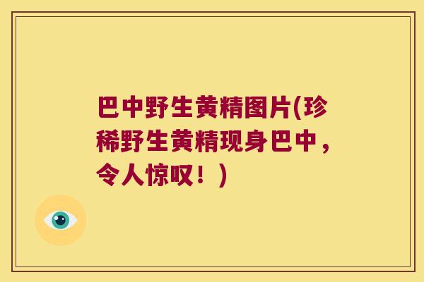 巴中野生黄精图片(珍稀野生黄精现身巴中，令人惊叹！)