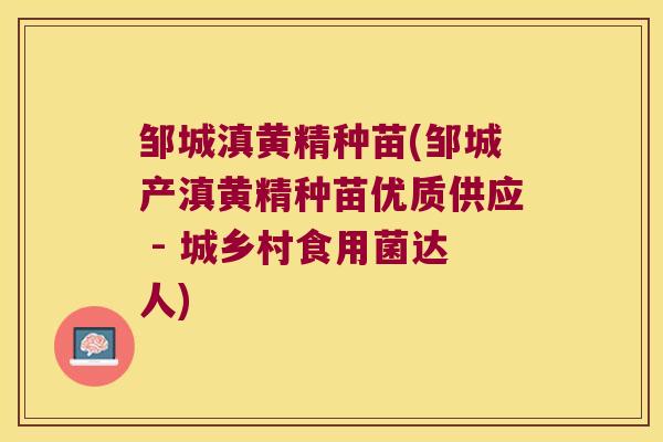邹城滇黄精种苗(邹城产滇黄精种苗优质供应 - 城乡村食用菌达人)