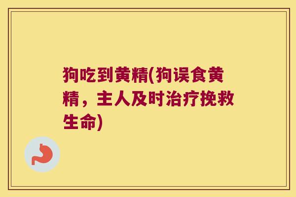 狗吃到黄精(狗误食黄精，主人及时挽救生命)