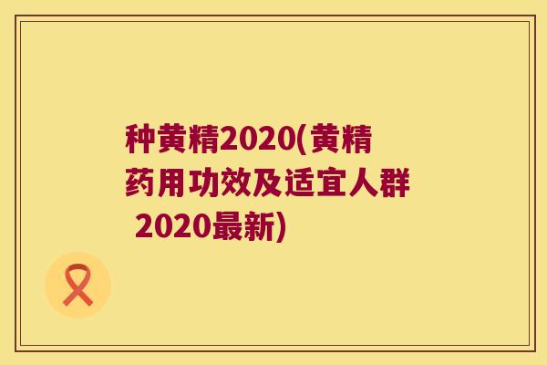 种黄精2020(黄精药用功效及适宜人群 2020新) 种黄精2020(黄精药用功效及适宜人群 2020新)