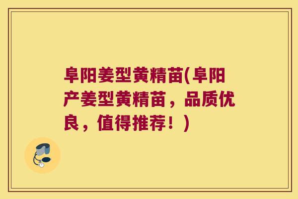 阜阳姜型黄精苗(阜阳产姜型黄精苗,品质优良,值得推荐!) 阜阳姜型黄精苗(阜阳产姜型黄精苗,品质优良,值得推荐!)