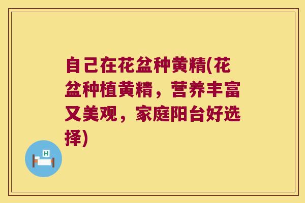 自己在花盆种黄精(花盆种植黄精，营养丰富又美观，家庭阳台好选择)