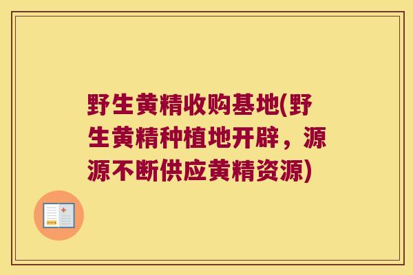 野生黄精收购基地(野生黄精种植地开辟，源源不断供应黄精资源)