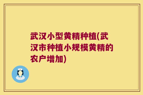 武汉小型黄精种植(武汉市种植小规模黄精的农户增加)