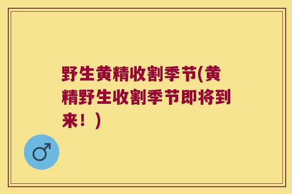 野生黄精收割季节(黄精野生收割季节即将到来!) 野生黄精收割季节(黄精野生收割季节即将到来!)