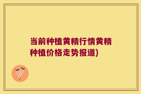 当前种植黄精行情黄精种植价格走势报道) 当前种植黄精行情黄精种植价格走势报道)