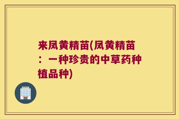 来凤黄精苗(凤黄精苗:一种珍贵的中草药种植品种) 来凤黄精苗(凤黄精苗:一种珍贵的中草药种植品种)