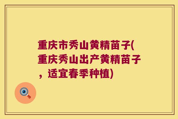 重庆市秀山黄精苗子(重庆秀山出产黄精苗子,适宜春季种植) 重庆市秀山黄精苗子(重庆秀山出产黄精苗子,适宜春季种植)