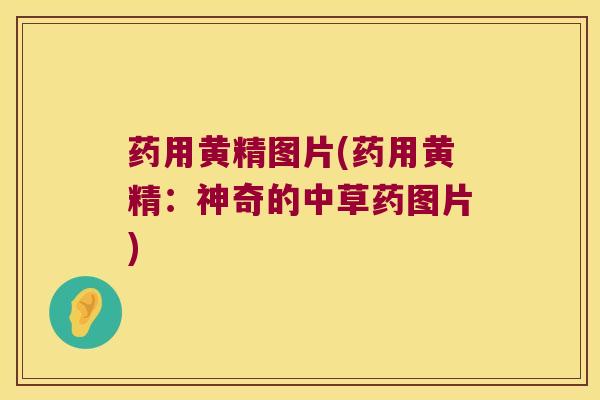 药用黄精图片(药用黄精:神奇的中草药图片) 药用黄精图片(药用黄精:神奇的中草药图片)