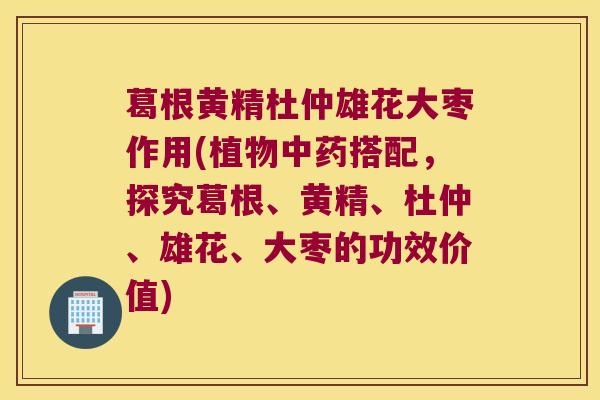 葛根黄精杜仲雄花大枣作用(植物搭配,探究葛根、黄精、杜仲、雄花、大枣的功效价值) 葛根黄精杜仲雄花大枣作用(植物搭配,探究葛根、黄精、杜仲、雄花、大枣的功效价值)